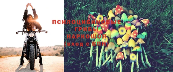 эйфоретик Алзамай
