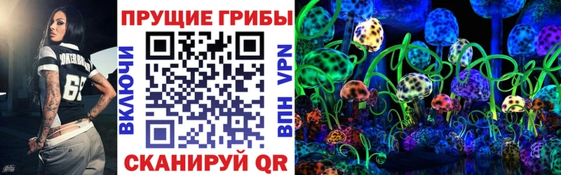 Псилоцибиновые грибы мицелий  Мегион 
